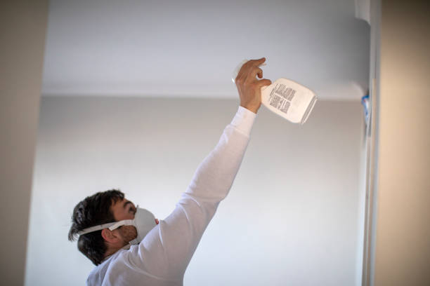 Best Fast Mold Removal  in Monessen, PA