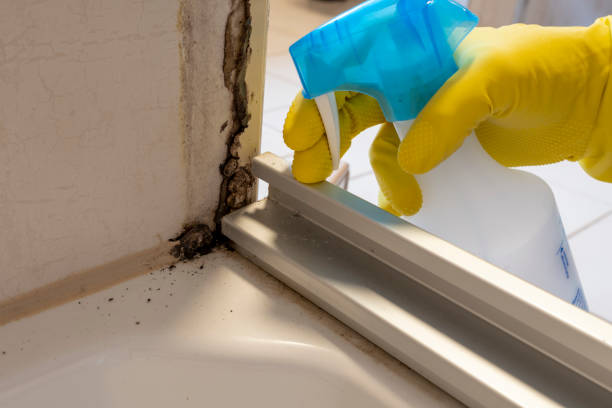 Mold Testing and Removal in Monessen, PA