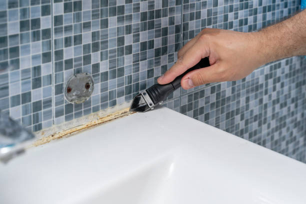 Best Attic Mold Removal  in Monessen, PA