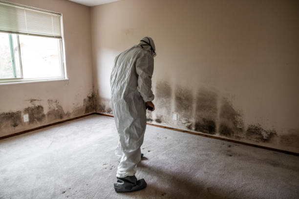 Best Residential Mold Removal  in Monessen, PA